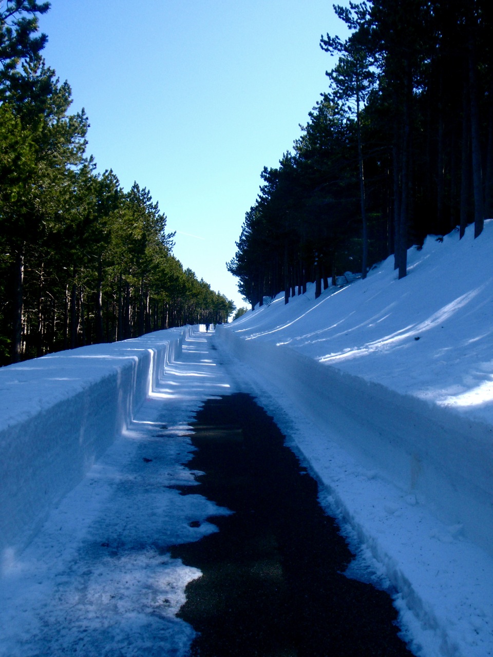 [trailventoux09.jpg]