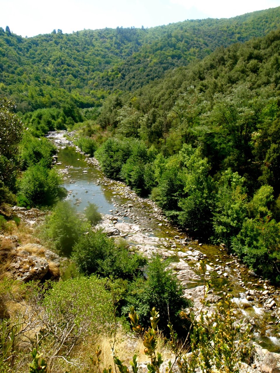 [Vallborgnsol08.jpg]