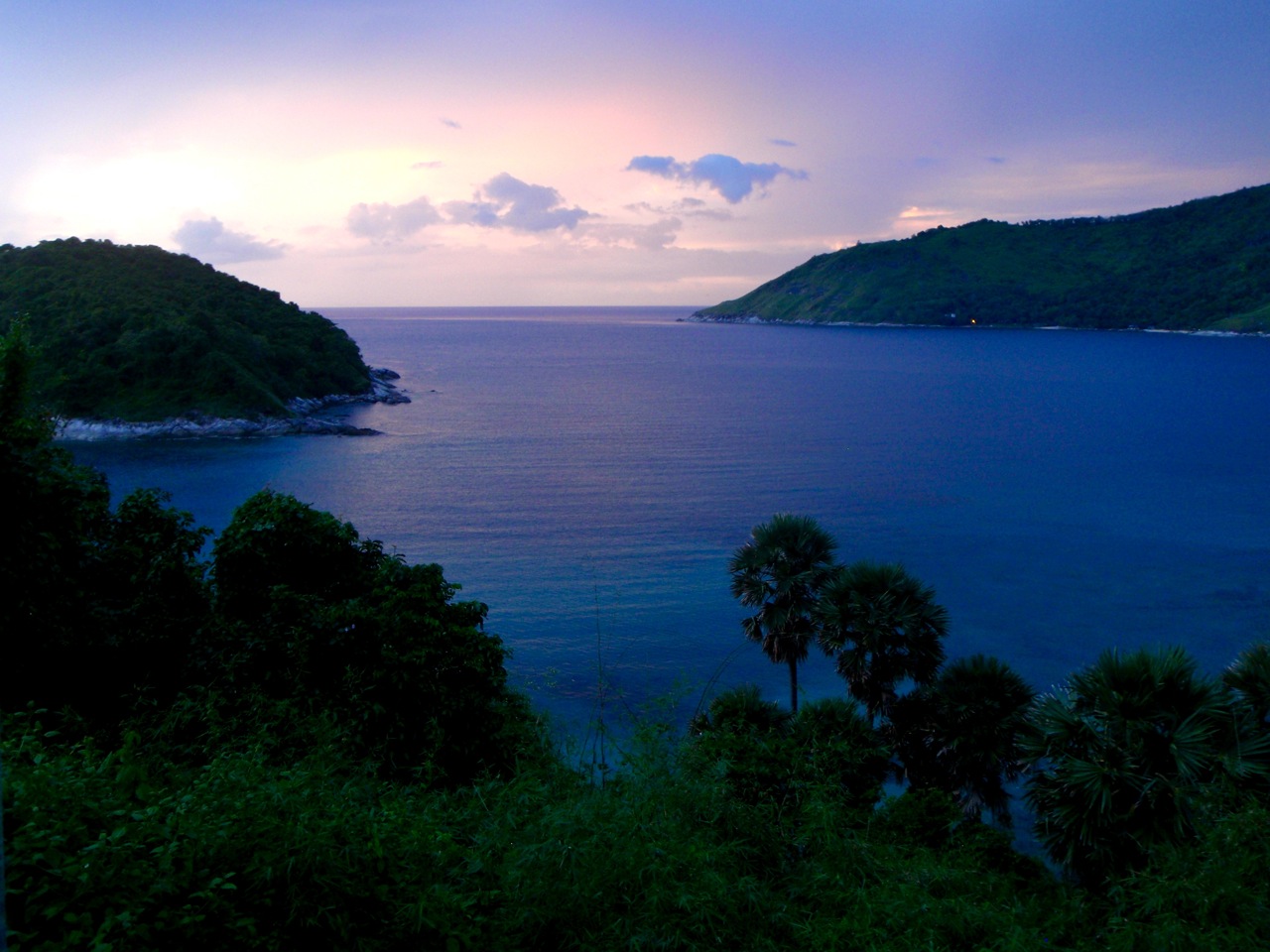 [Phuket_jungleG7.jpg]