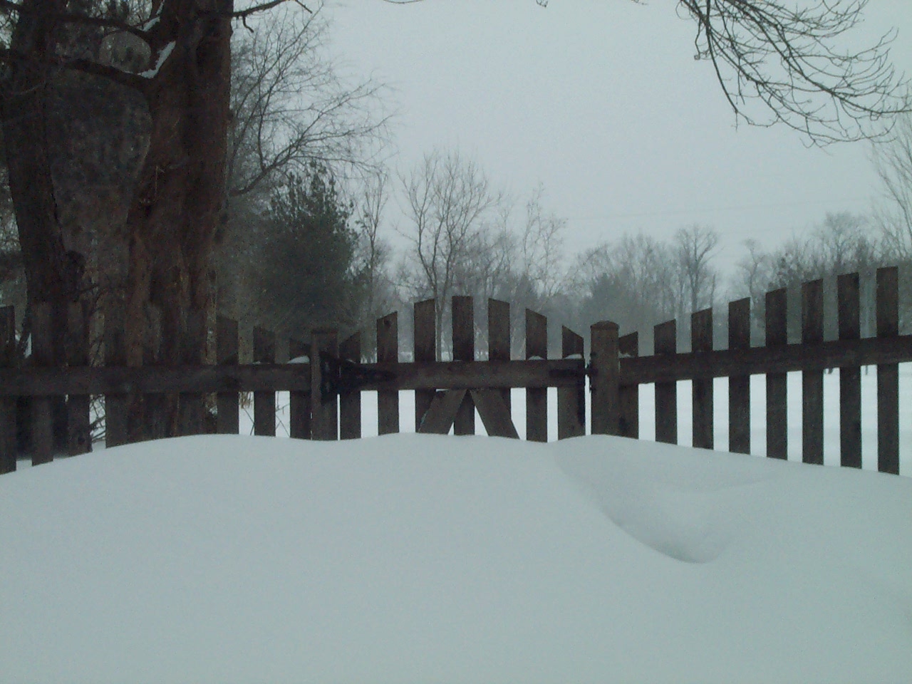 [snowy+gate.JPG]