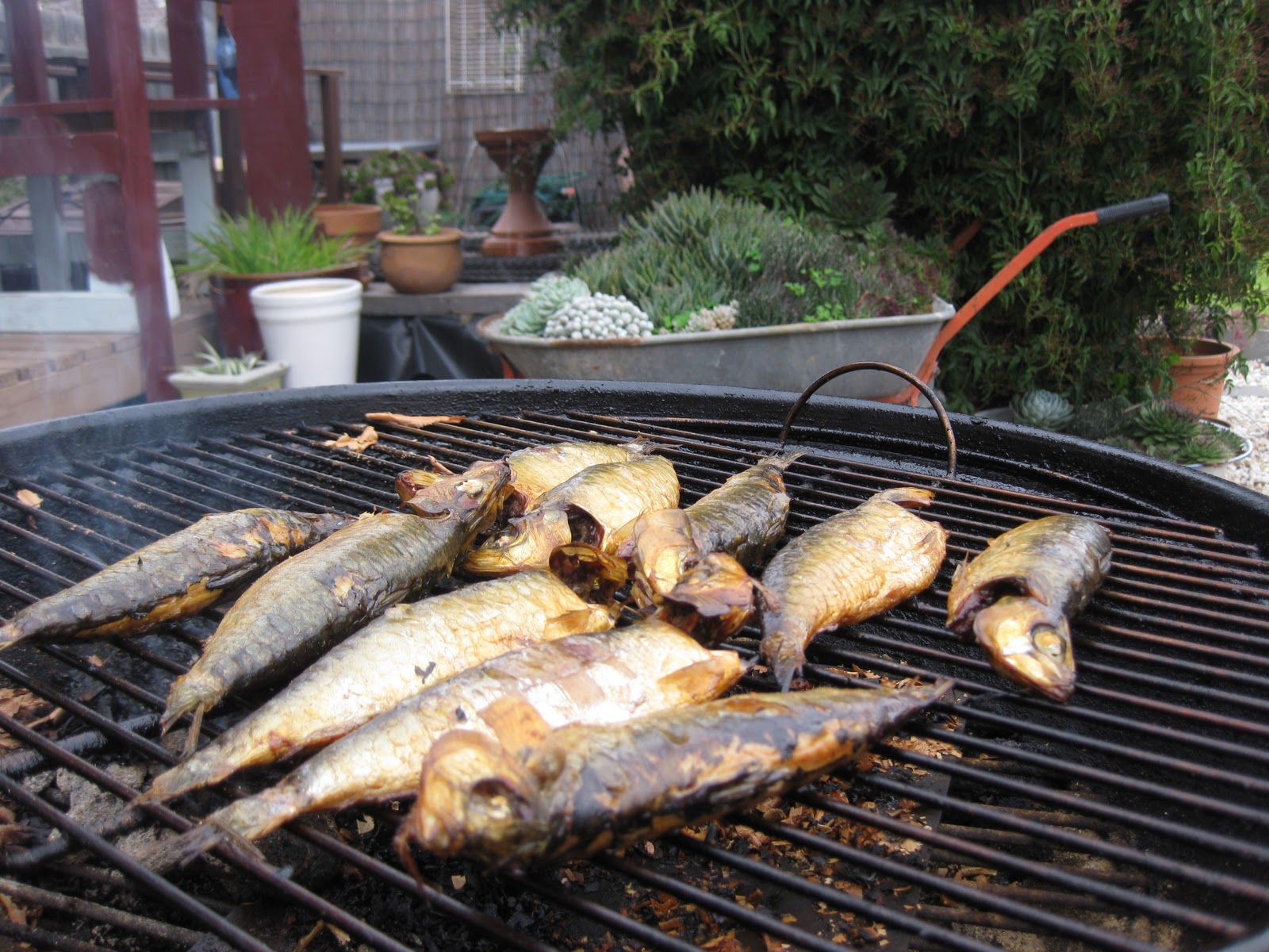 Sweet Cherrie Pie: Tinapa - Filipino Smoked Fish