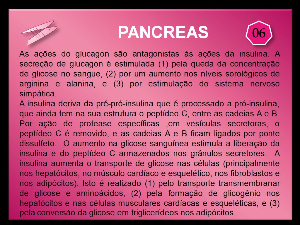 [pancreas+06.bmp]