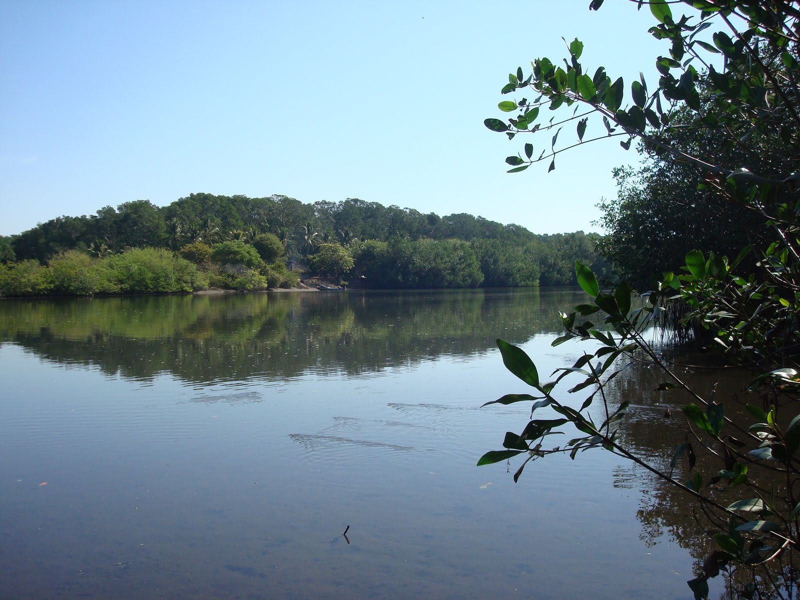 [DSC05698.JPG]