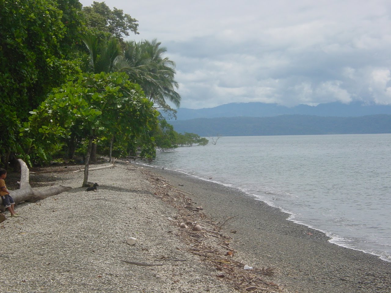 Costa Rica Real Estate Costa Rica Southern Zone Osa Peninsula