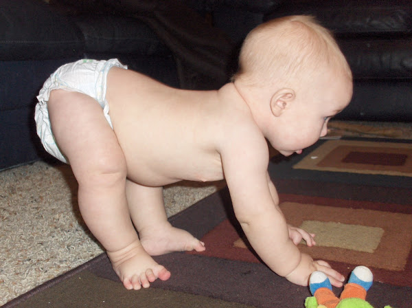 Zander crawling adventures!