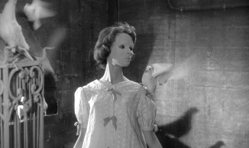 Lost in the Frame Eyes Without a Face