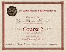 DIPLOMA WILTON 2