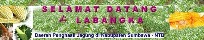 KECAMATAN PENGHASIL JAGUNG