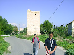 la Torre del Ciprés