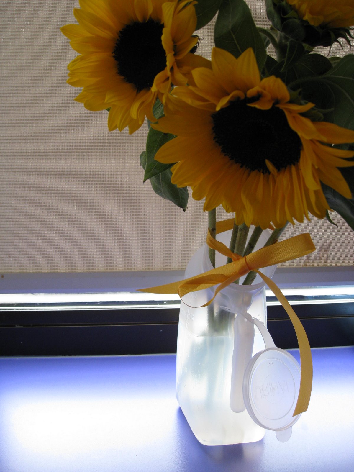 [sunflowers.jpg]