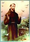 St. Francis of Asisi