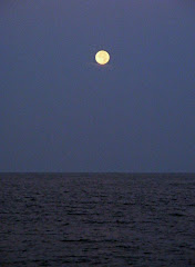 Full Moon at Dawn