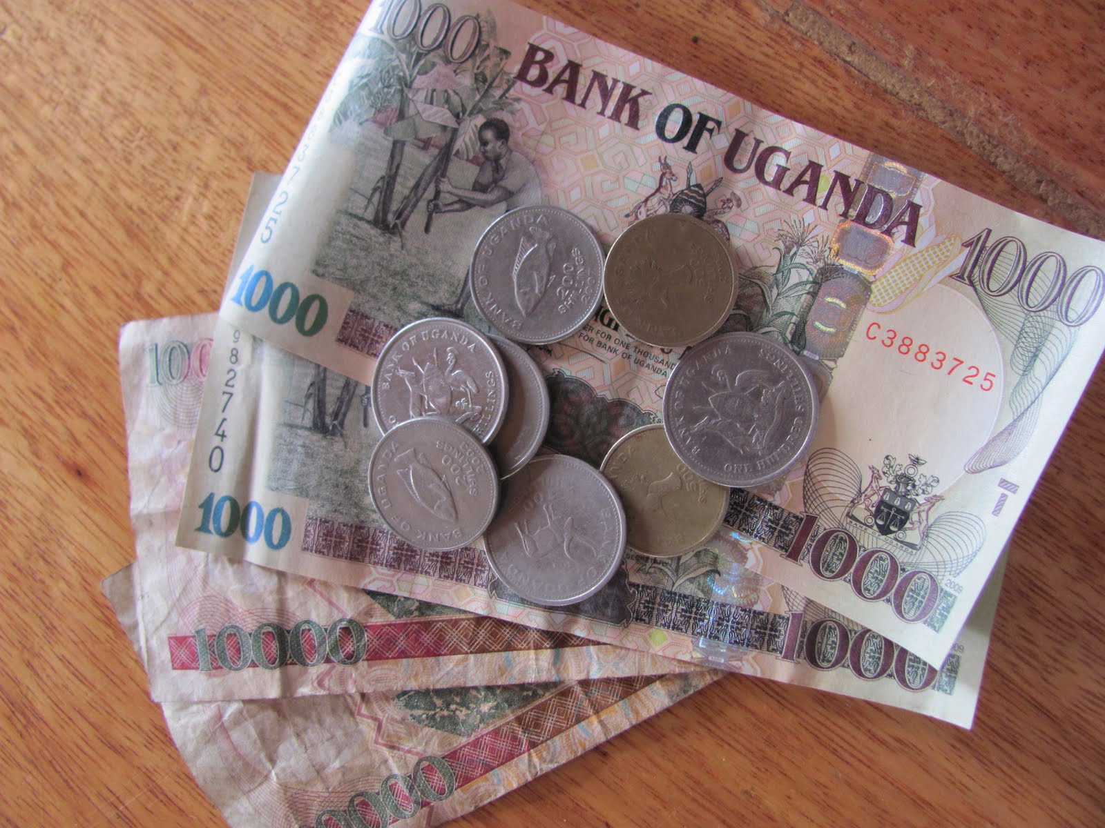 Journey of Faith Uganda and Beyond "Normals" in Uganda