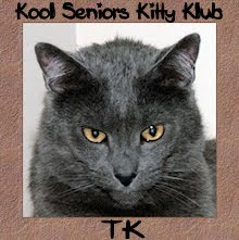 TK is proud to be a senior kitty.