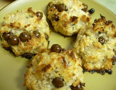 Blueberry Coconut Macaroons