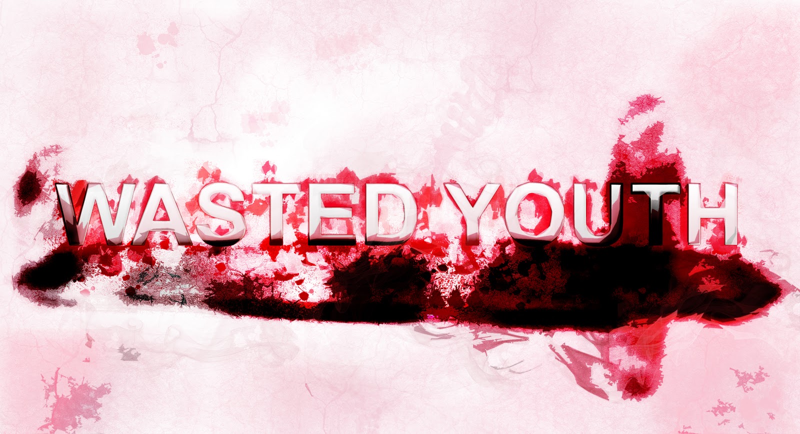 wasted youth special box