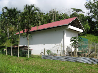 Birdhouse In Brunei, Darussalam