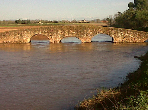 Puente de la Reina sobre el río Azuer, Manzanares.