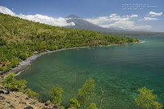 Amed