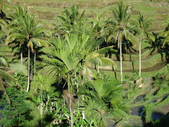 ubud