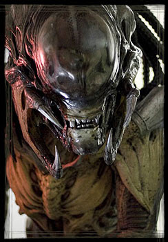 alien predator 2