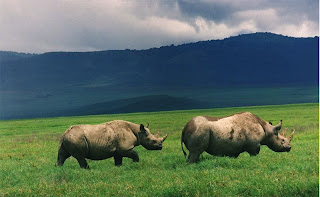 Ngorongoro Crater Tanzania