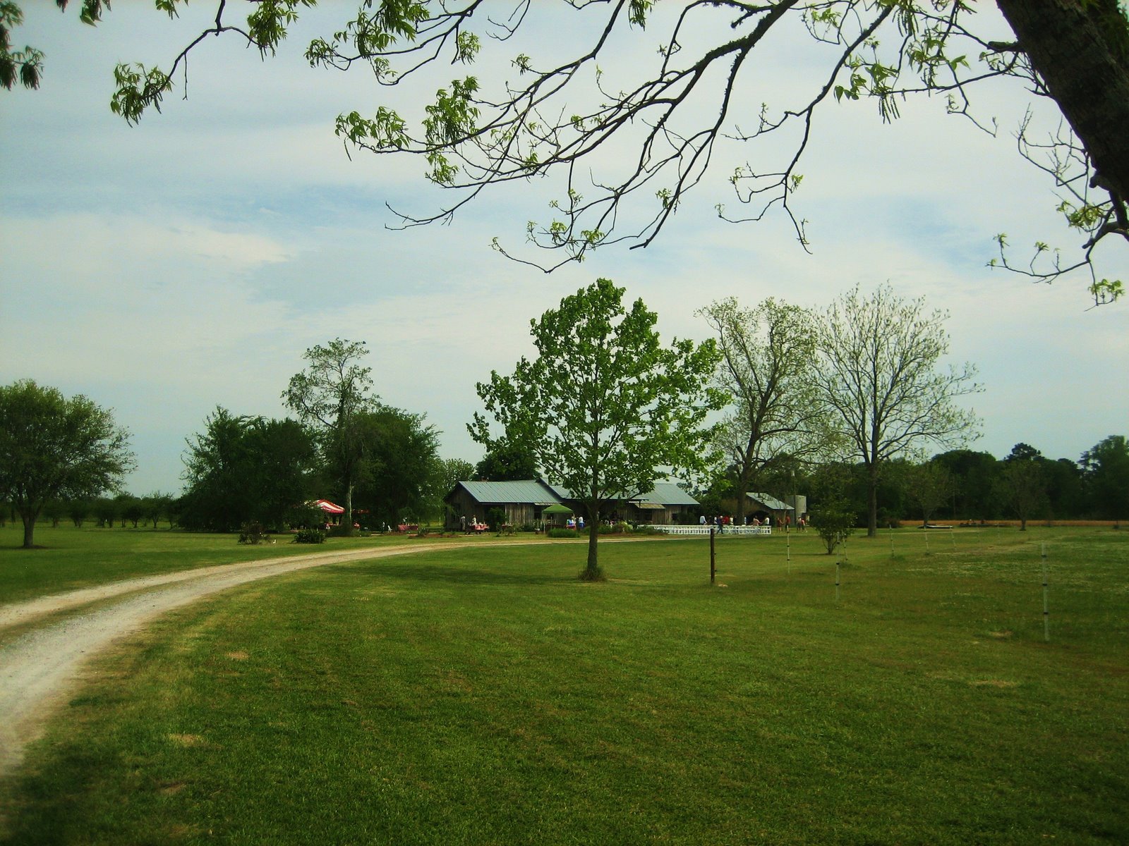 [Garbarino+Farm.JPG]