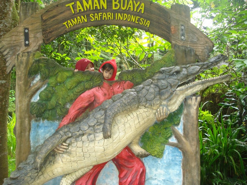 [DSC01406.JPG]