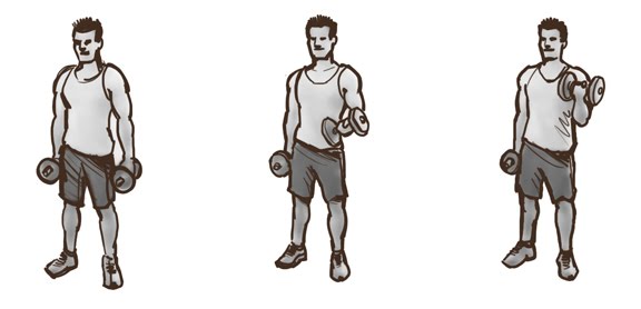 The bicep curls will help me