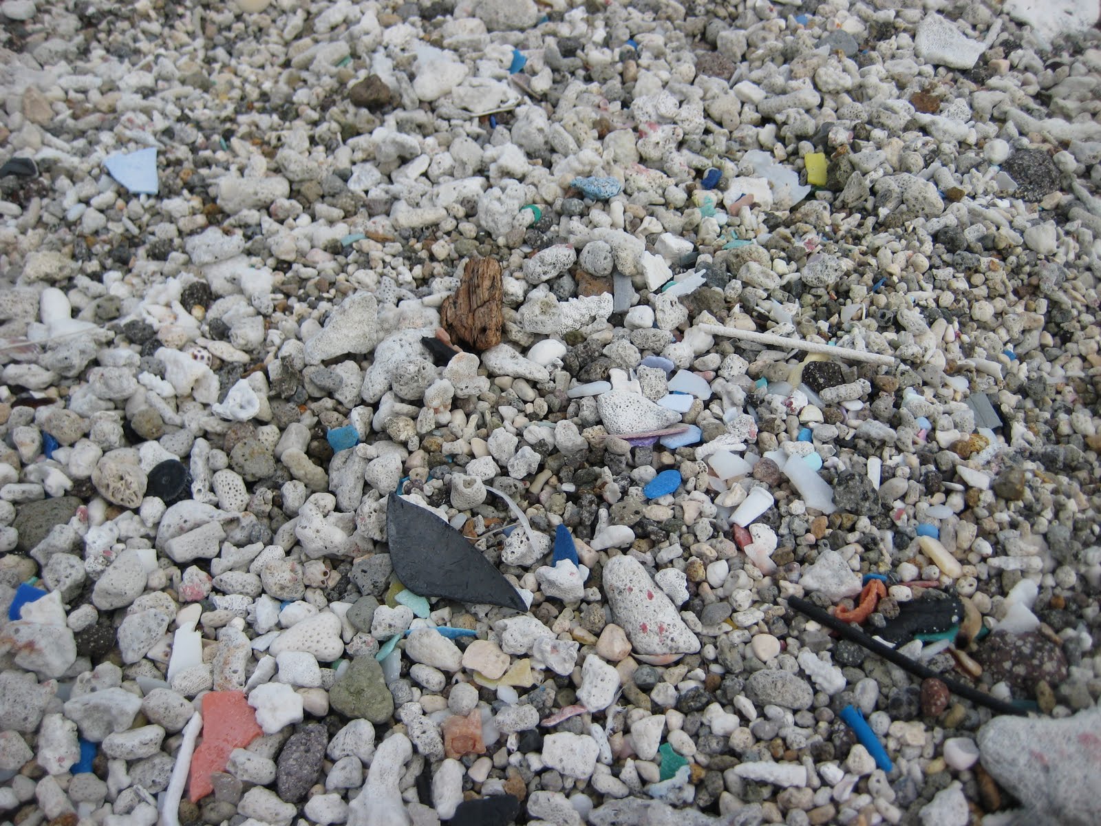Jen and Stan in Saipan Forbidden Island Plastic Sand