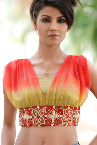 Designer Blouse