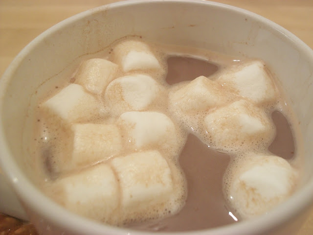 http://3.bp.blogspot.com/_bPX6-R7Fd8I/TL32McEA5-I/AAAAAAAABSQ/Z_l9NdKJ-LI/s1600/cocoa+2.JPG