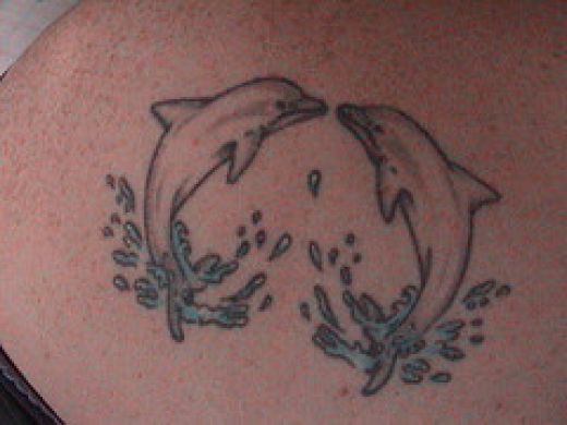 Dolphin Tattoo Designs – The Appeal of Dolphins Dolphin Tattoos