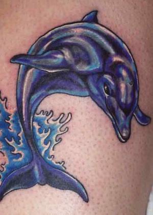Nice Dolphin Tattoos Design 2010tattoos for men | tattoos 