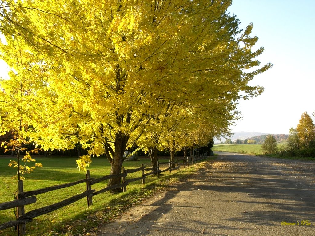 http://3.bp.blogspot.com/_bQ0SqifjNcg/THilvGBs52I/AAAAAAAAby0/yXTR4KgAoBE/s1600/autum-wallpaper.jpg