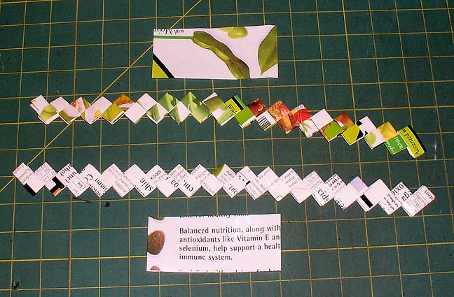 [beneful+illust+8.JPG]