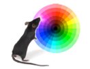 [mouse.jpg]