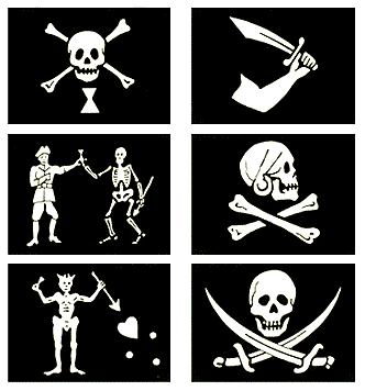 Blackbeard Pirate Flag