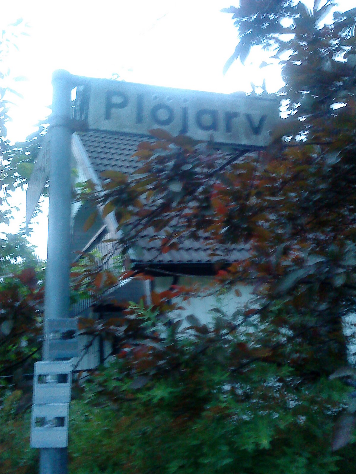 [DSC00285.JPG]