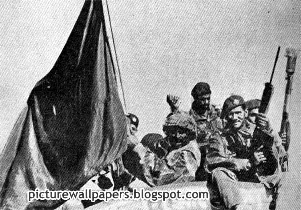 16 december victory day of bangladesh flowers image 16 december victory day of bangladesh flowers image