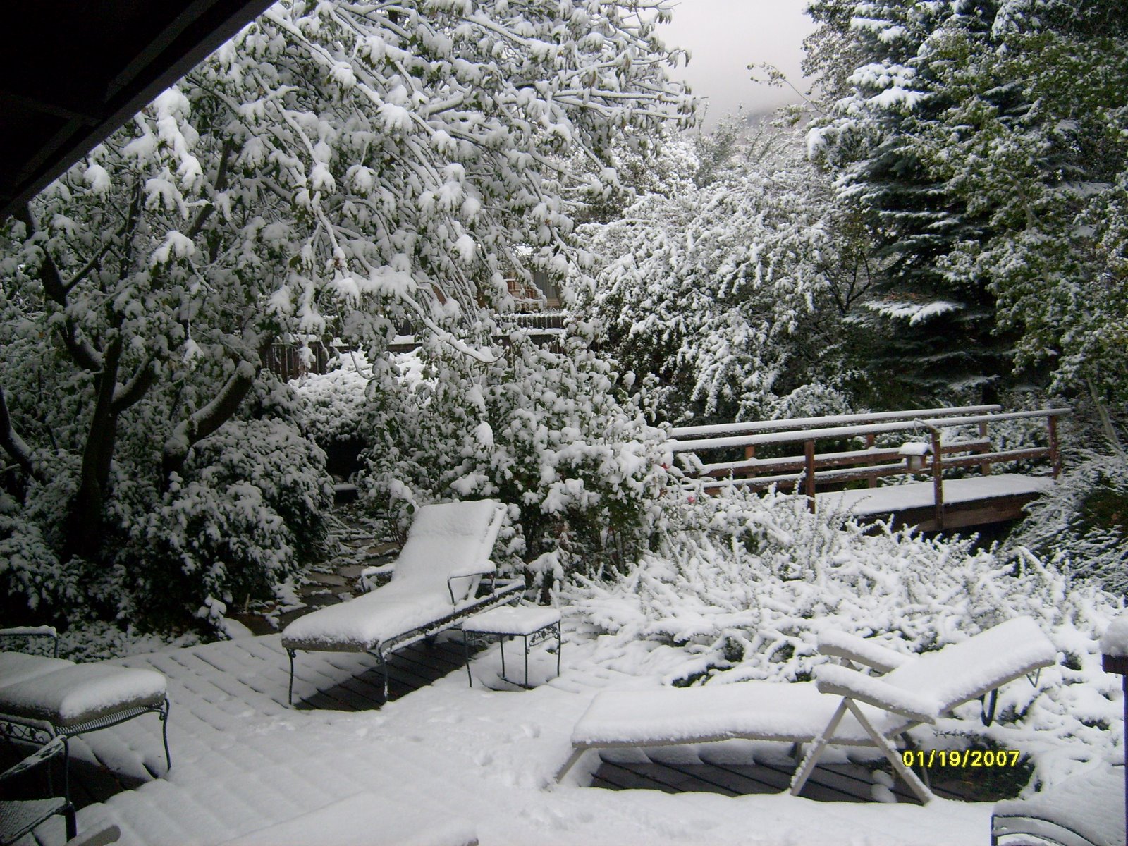 [backyard+kaysville+oct+08+006.JPG]