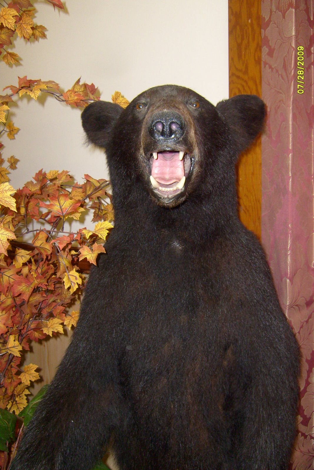 [S6300541.JPG]