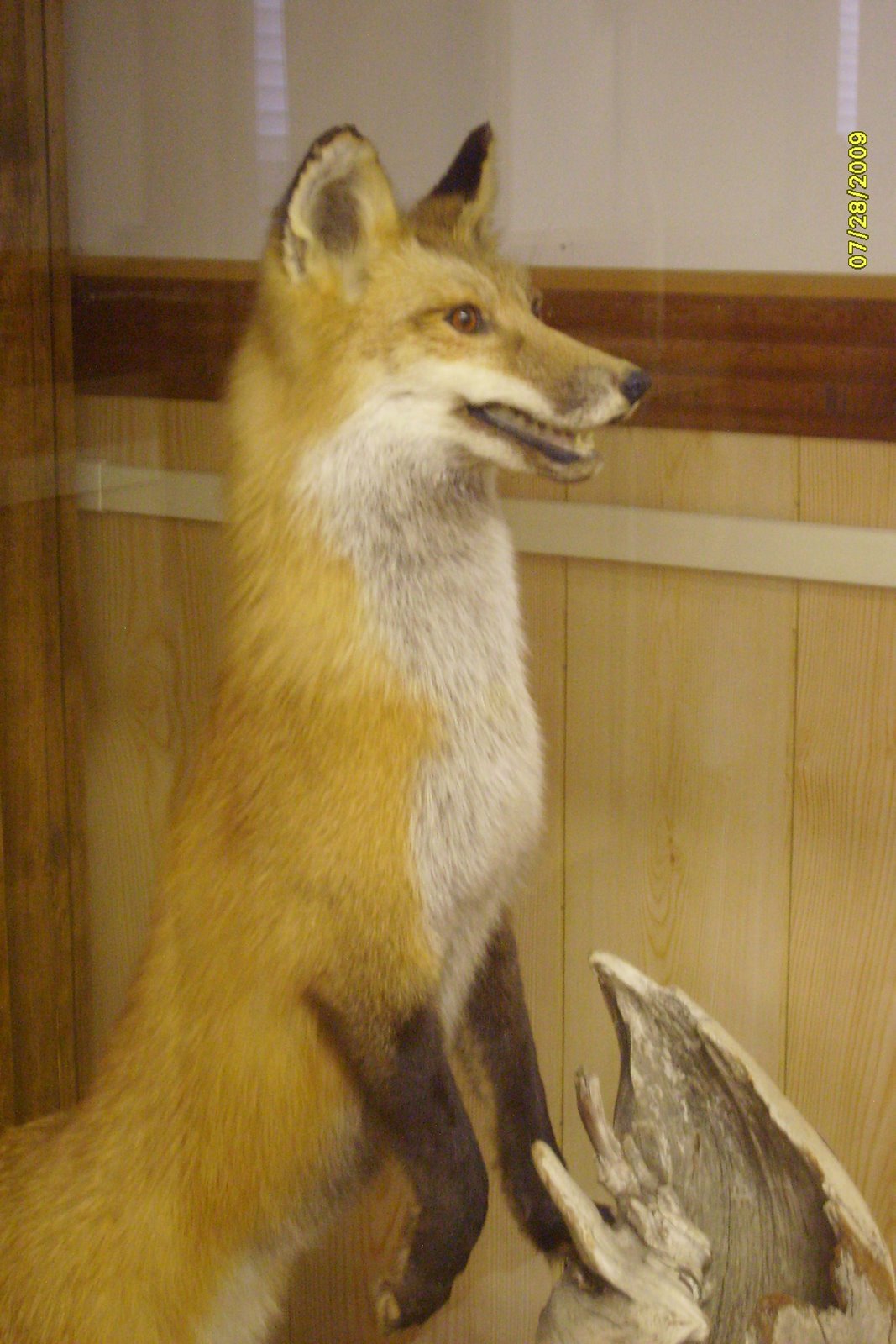 [S6300537.JPG]