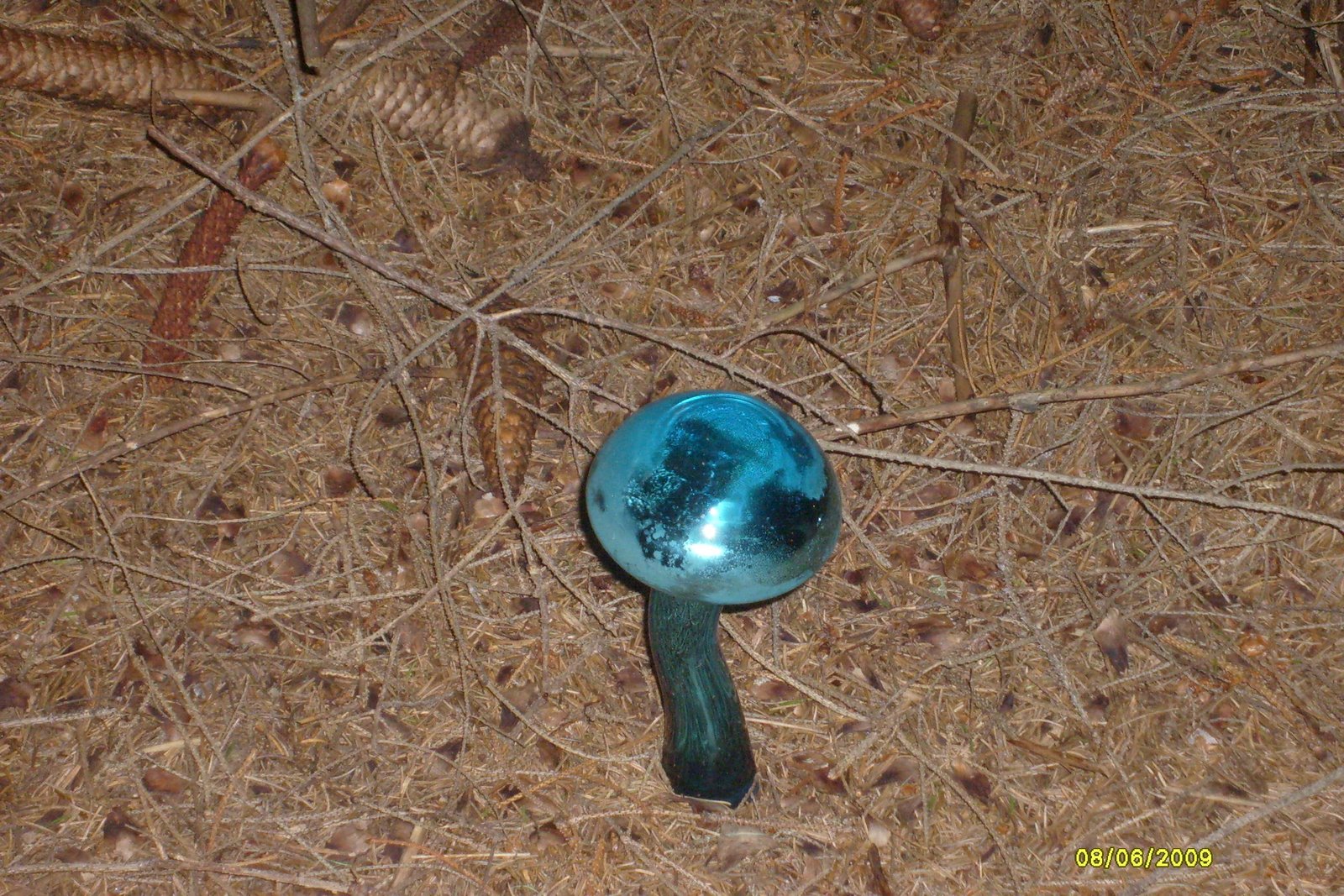 [S6300595.JPG]