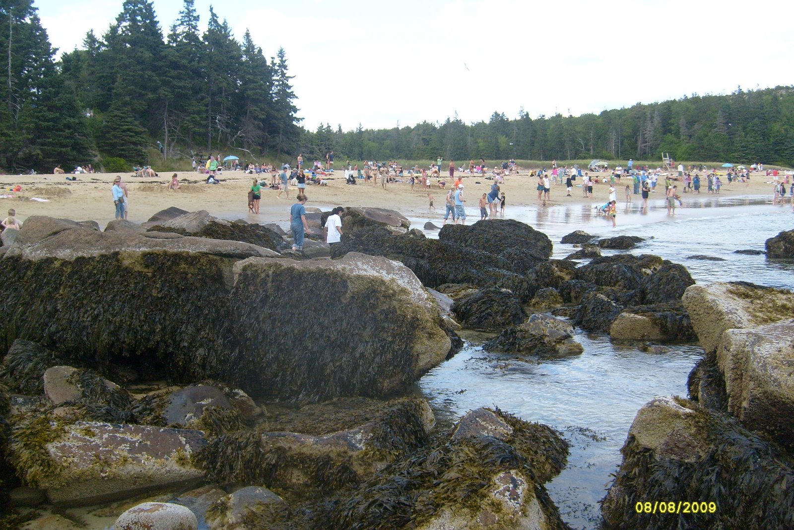 [Picture+066.jpg]