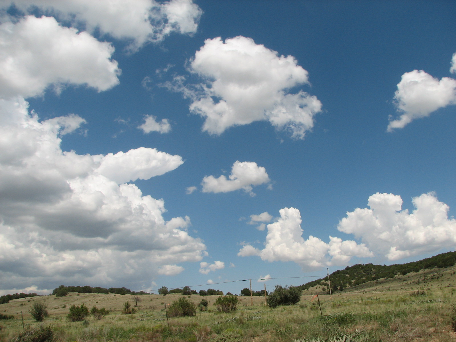 [IMG_8132.JPG]