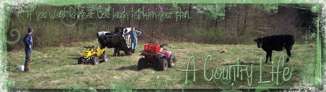 A Country Life