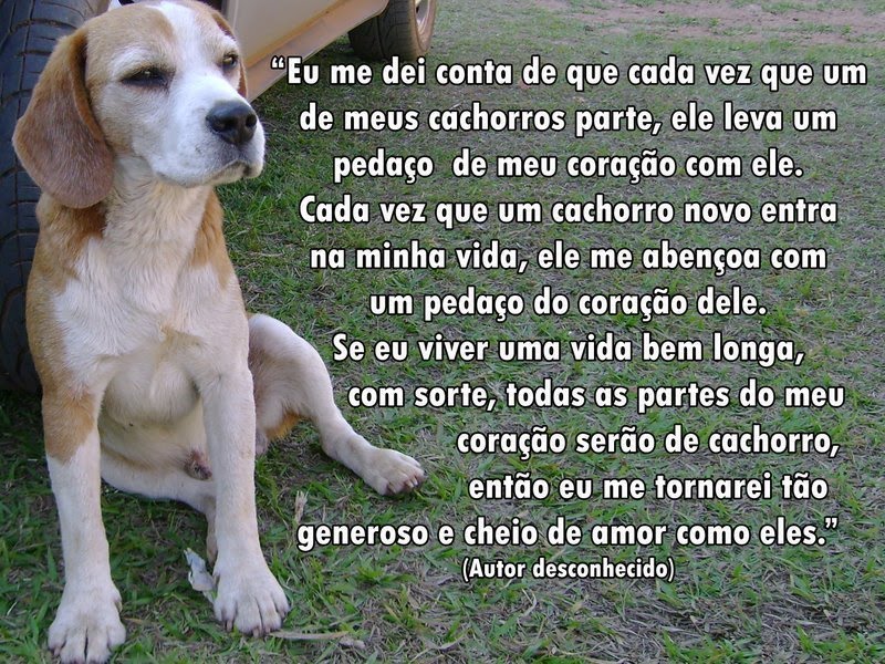 Vermes no momento de tratamento de gravidez por alho