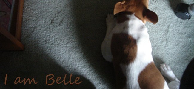 I am Belle