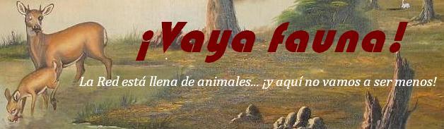 ¡Vaya fauna!